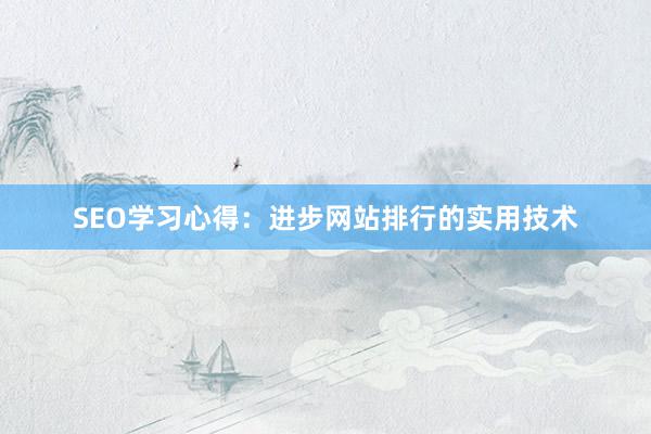 SEO学习心得：进步网站排行的实用技术